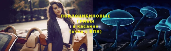 хмурый Каменск-Шахтинский