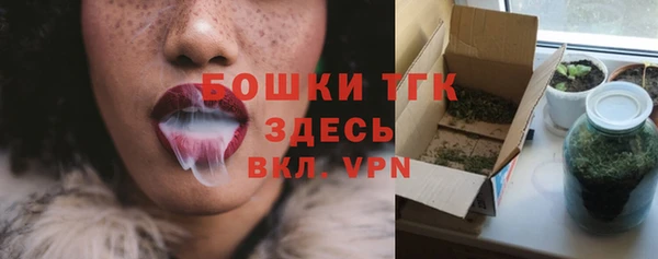 твердый Каменка