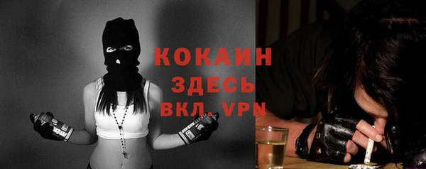 твердый Каменка