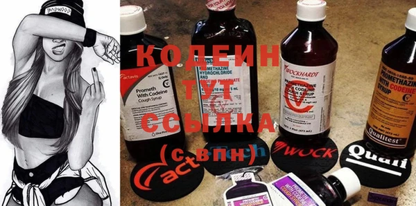 2c-b Каменногорск