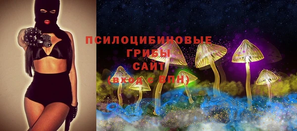 твердый Каменка