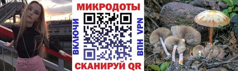 Галлюциногенные грибы Psilocybine cubensis  Купить закладки  Горно-Алтайск 